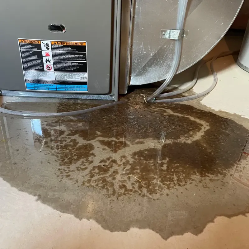 Appliance Leak Cleanup in Harlan County, KY